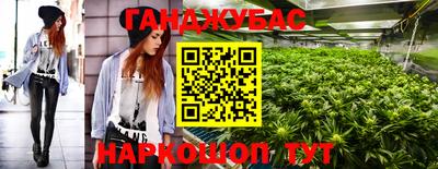 крисы Кандалакша