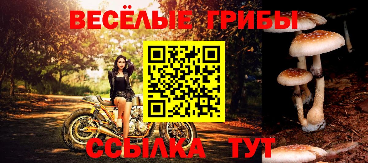 Псилоцибиновые грибы ЛСД  Вход с VPN  Буйнакск 
